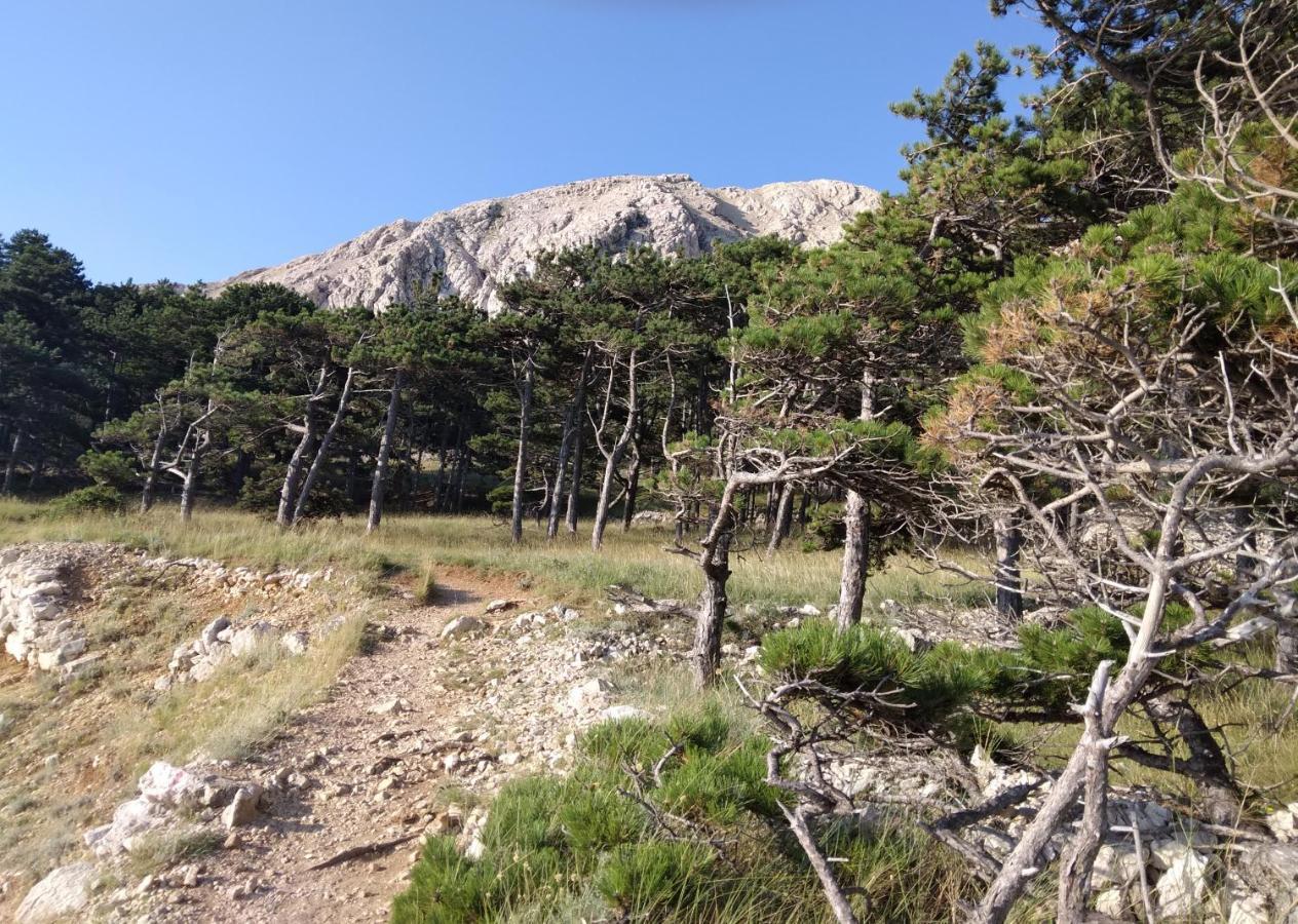 Apartmani Baska S Pogledom Na More Baška Exterior foto